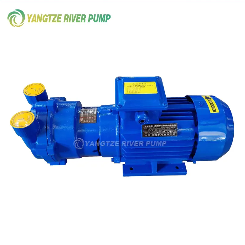 Liquid ring vacuum pumps type SKA and 2BV