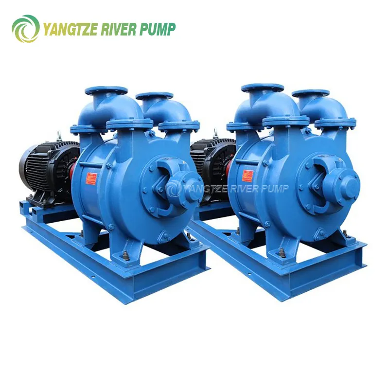 Liquid ring vacuum pumps type SK